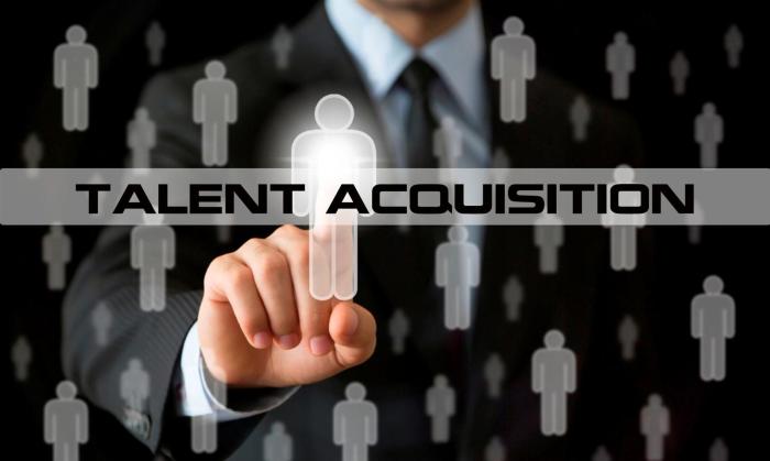 Talent acquisition solutions services benefits networks llc model
