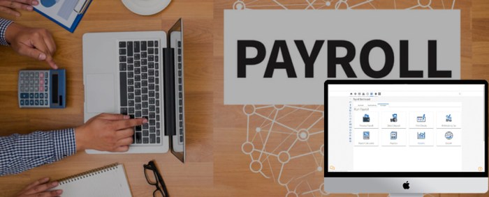 Payroll hr software system encourage implement enhanced features management