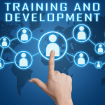 Insight effectiveness etraining